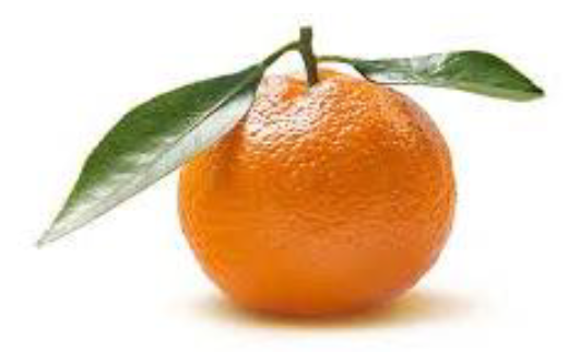Fruit van de week
