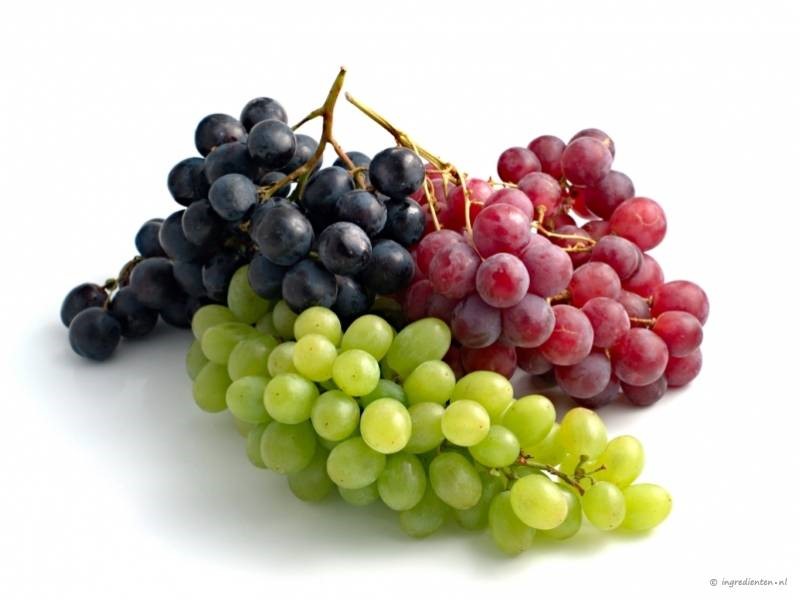 Fruit van de week